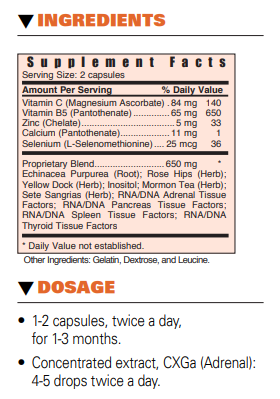 CXGa - Adrenal