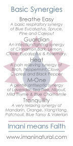 Basic Synergies Essential Oil Combinations 5 Pack Special