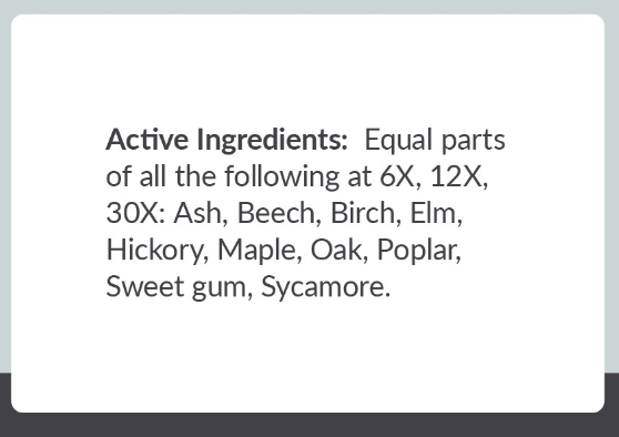 Eastern Trees Allersode