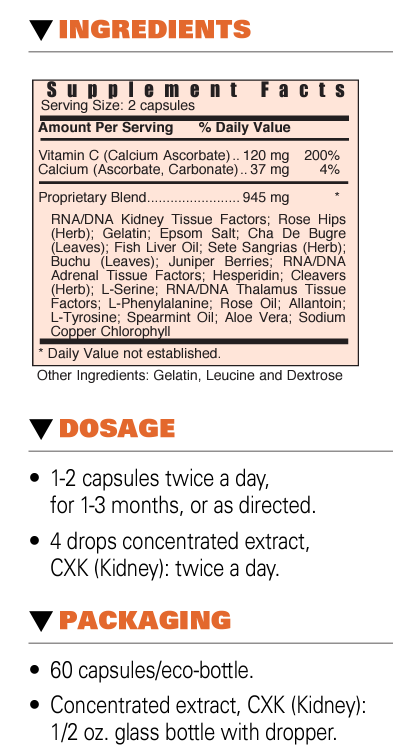 K – Kidney