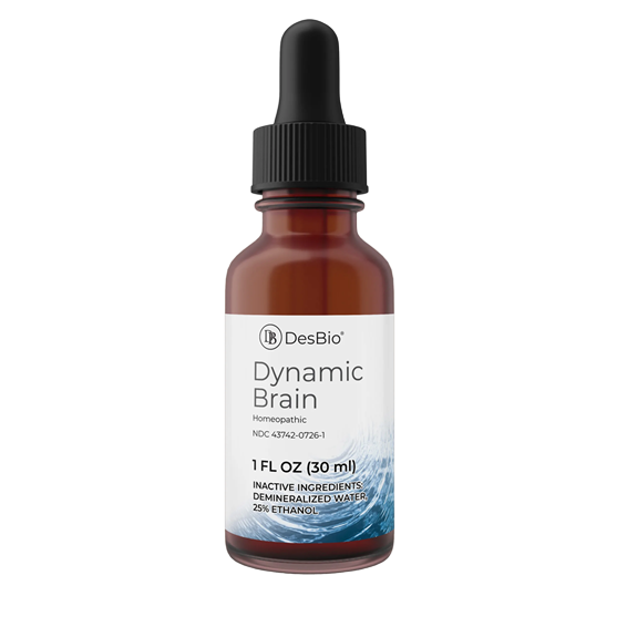 Dynamic Brain