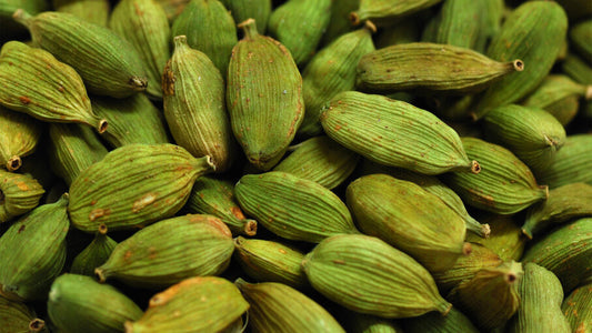 Cardamon Essential Oil