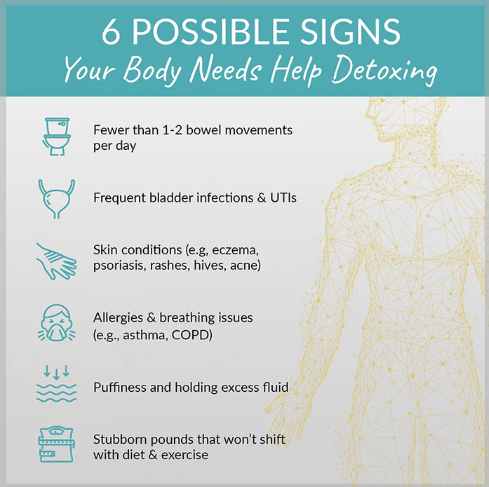 Organixx Cleanse & Detoxx Kit