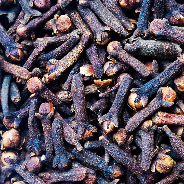 Clove Bud