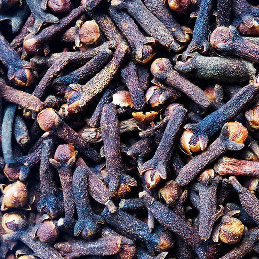 Clove Bud