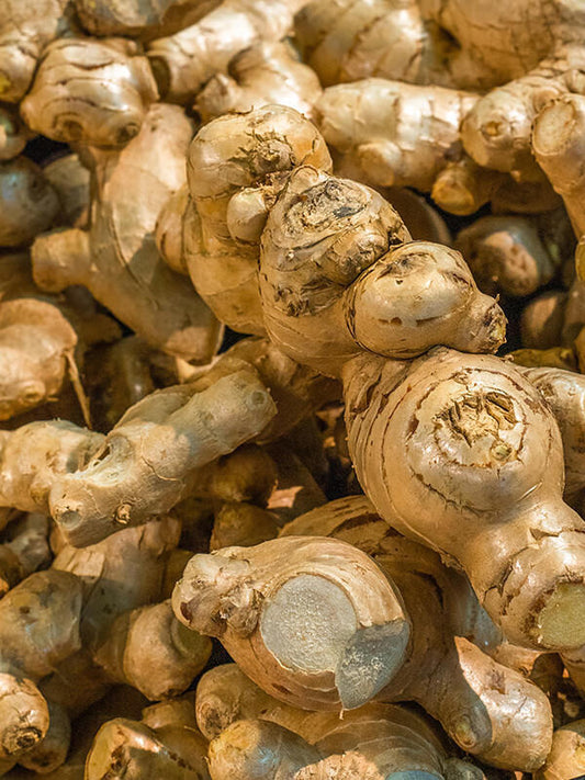 Ginger Essential Oil