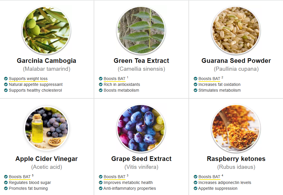 Puravive Weight Loss Support  SALE!