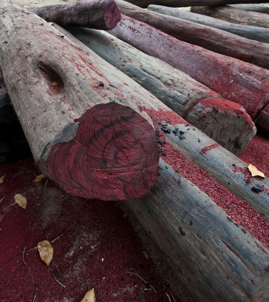 Rosewood Essential Oil